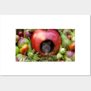 George the mouse in a log pile house - Mouse inside a apple with summer fruits Posters and Art